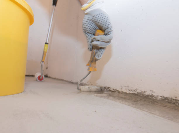 Best Termite Inspection and Treatment  in Mattawan, MI